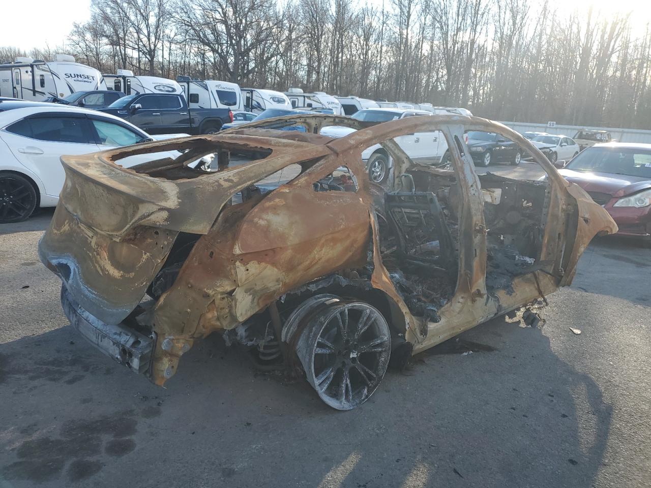 2024 TESLA MODEL Y  VIN:7SAYGDEDXRF111335