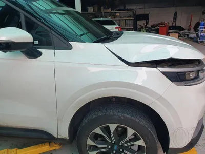 2020 Kia Carnival KNANB81BBMS024261 VIN:KNANB81BBMS024261