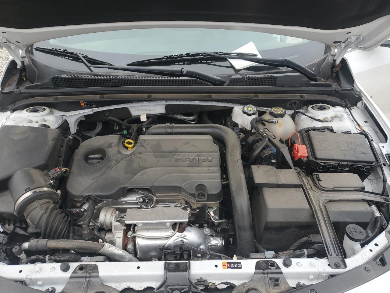 2024 CHEVROLET MALIBU LS VIN:1G1ZC5ST2RF165411