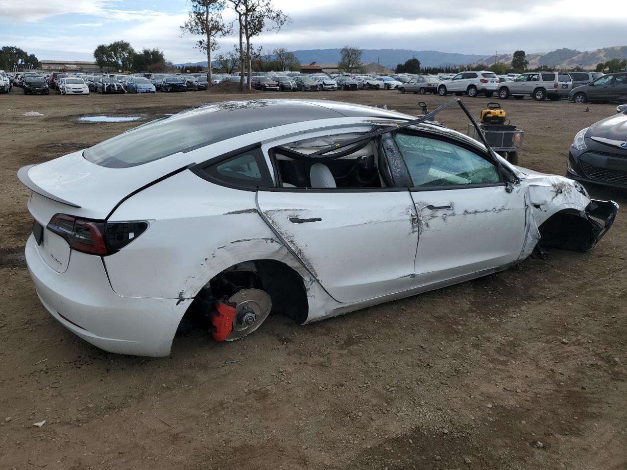 2023 TESLA MODEL 3  VIN:5YJ3E1EC0PF491947