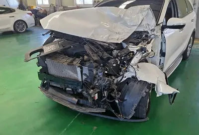 2020 Kia Sorento KNAPK81BDLA604954 VIN:KNAPK81BDLA604954