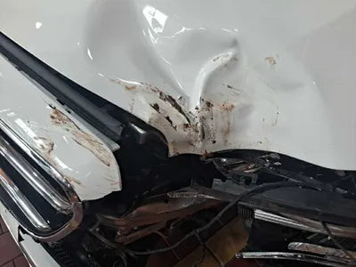 2020 Mercedes-Benz E 250 W1KZF4FB4LA820107 VIN:W1KZF4FB4LA820107