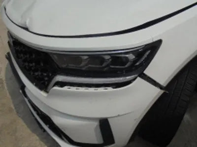 2021 Kia Sorento KNARL81BGMA079110 VIN:KNARL81BGMA079110