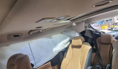 2021 Kia Carnival KNANE81BBMS022169 VIN:KNANE81BBMS022169