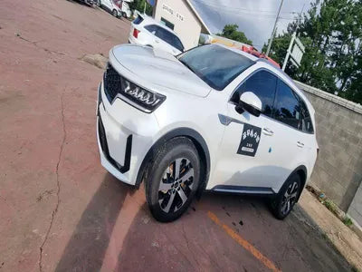 2021 Kia Sorento KNARL81BHMA045787 VIN:KNARL81BHMA045787