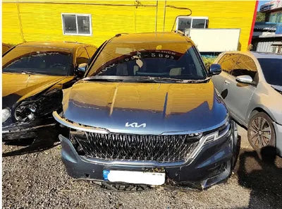 2022 Kia Carnival KNANC81BBNS149251 VIN:KNANC81BBNS149251
