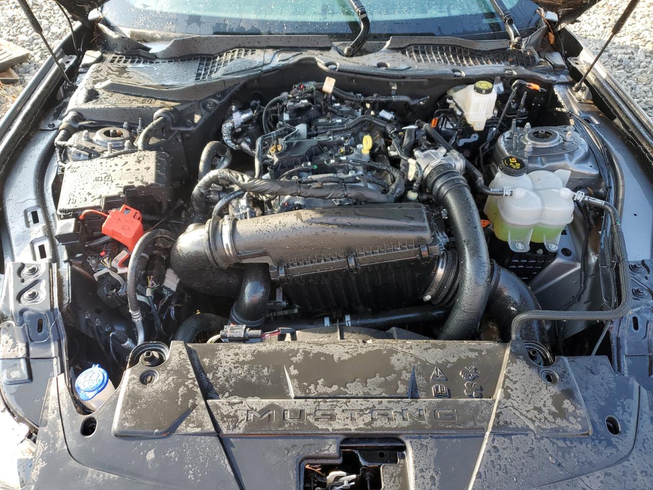 2024 FORD MUSTANG  VIN:1FA6P8TH7R5121622