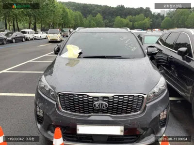 2018 Kia Sorento KNAPH81ABKA494843 VIN:KNAPH81ABKA494843