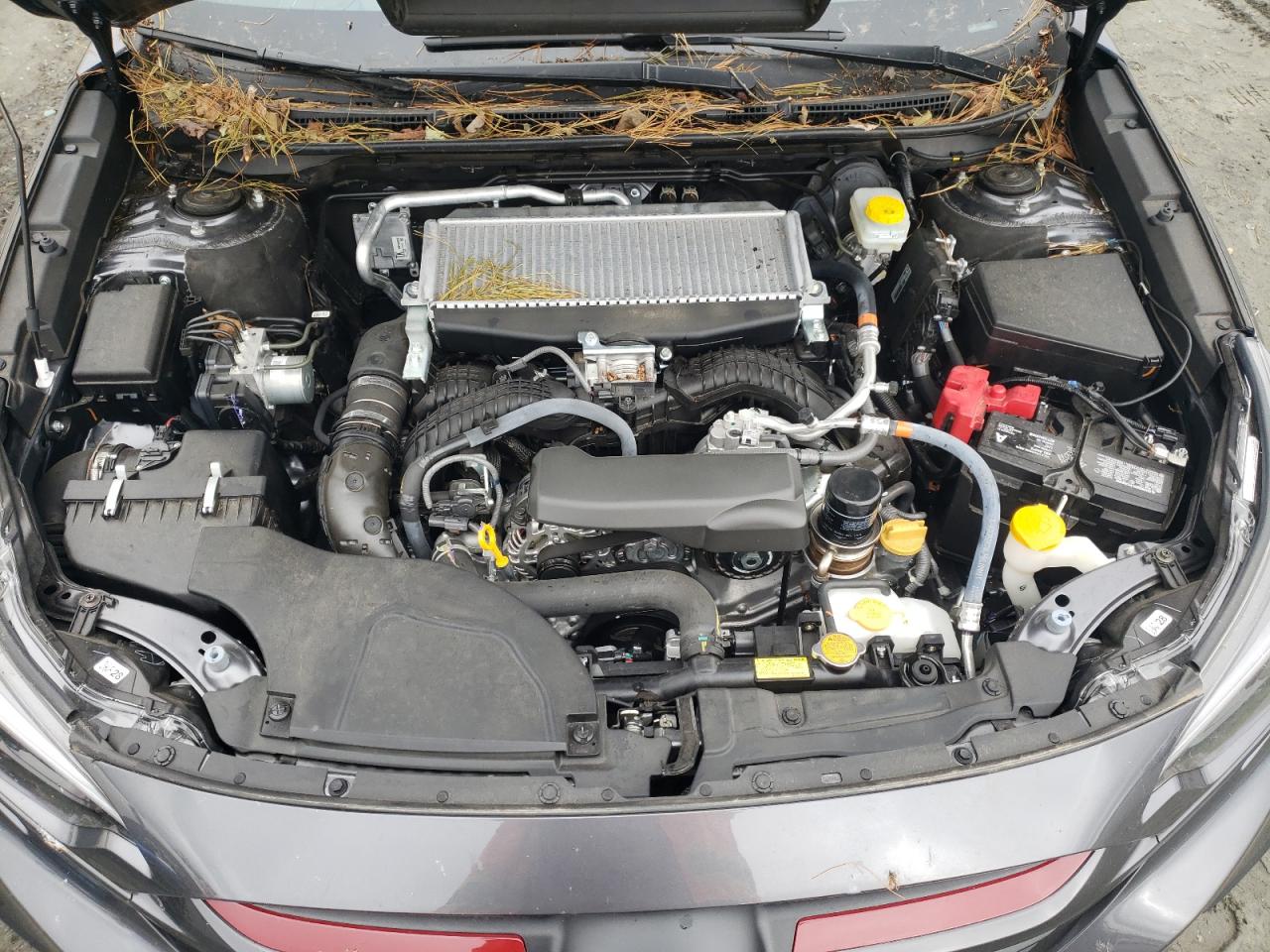 2024 SUBARU LEGACY SPORT VIN:4S3BWGG67R3026892