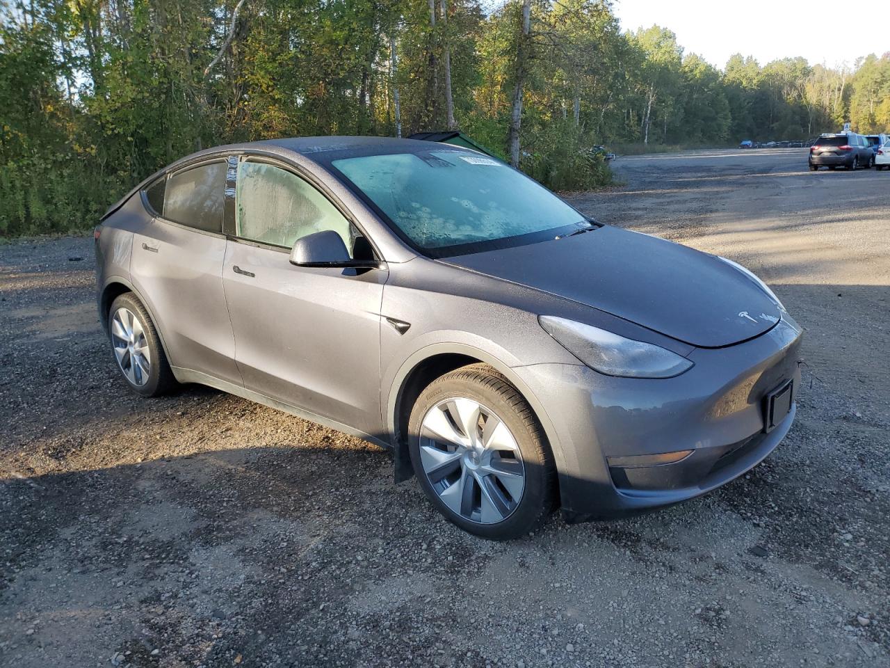 2023 TESLA MODEL Y  VIN:LRWYGDFD5PC221356