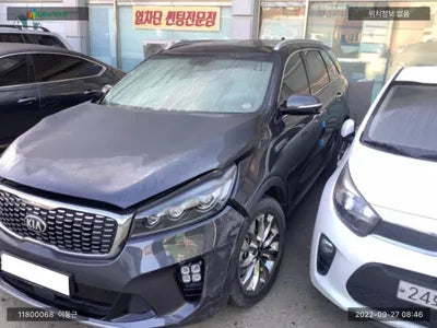 2019 Kia Sorento KNAPG81BBKA543174 VIN:KNAPG81BBKA543174
