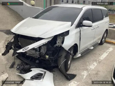 2019 Kia Carnival KNAMB81ABKS607118 VIN:KNAMB81ABKS607118