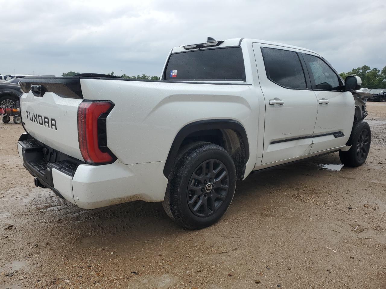 2024 TOYOTA TUNDRA CREWMAX PLATINUM VIN:5TFNC5DB8RX044452