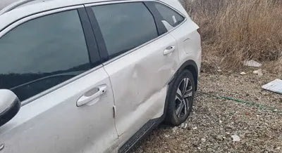 2021 Kia Sorento KNARH81GBMA021079 VIN:KNARH81GBMA021079