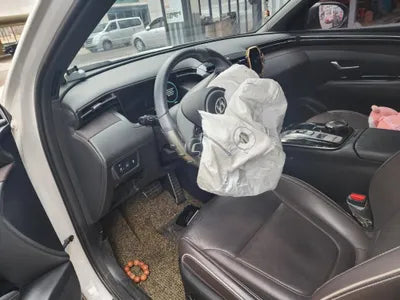 2021 Hyundai Tucson KMHJE81CBMU010887 VIN:KMHJE81CBMU010887