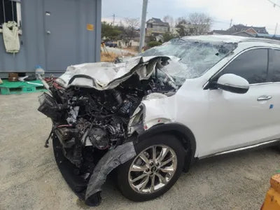 2016 Kia Sorento KNAPS81ABHA279459 VIN:KNAPS81ABHA279459
