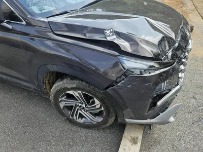 2021 Hyundai Santa FE KMHS381HHMU393701 VIN:KMHS381HHMU393701