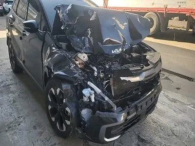 2021 Kia Sportage KNAPV81BGNK006396 VIN:KNAPV81BGNK006396