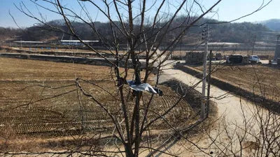 2017 Kia Carnival VIN: