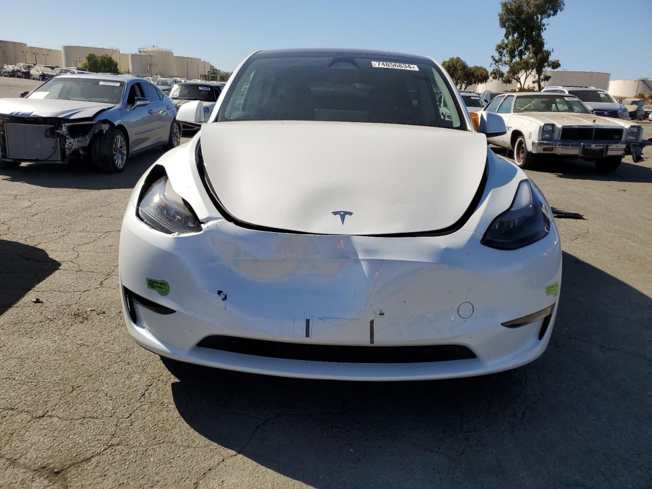 2023 TESLA MODEL Y  VIN:7SAYGDEE5PF812029