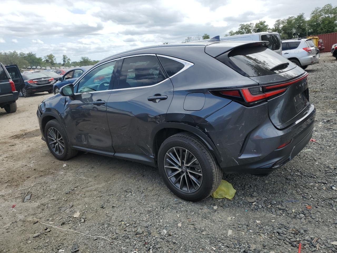 2022 LEXUS NX 250 VIN:2T2GDCAZ9NC002873