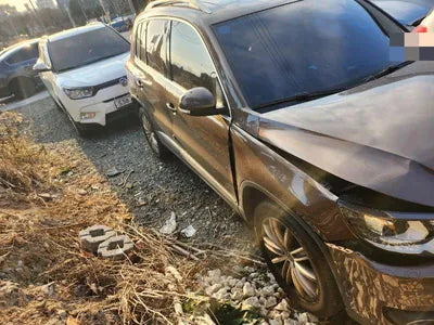2014 Volkswagen Tiguan VIN: