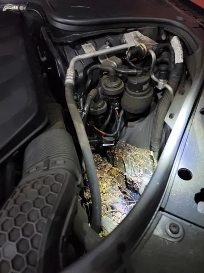 2018 BMW 530 WBAJD9106JWC83305 VIN:WBAJD9106JWC83305