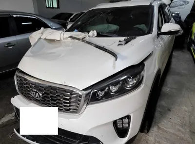 2020 Kia Sorento KNAPS81BBLA570113 VIN:KNAPS81BBLA570113