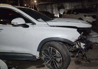 2019 Hyundai Santa FE KMHS381CBKU028156 VIN:KMHS381CBKU028156