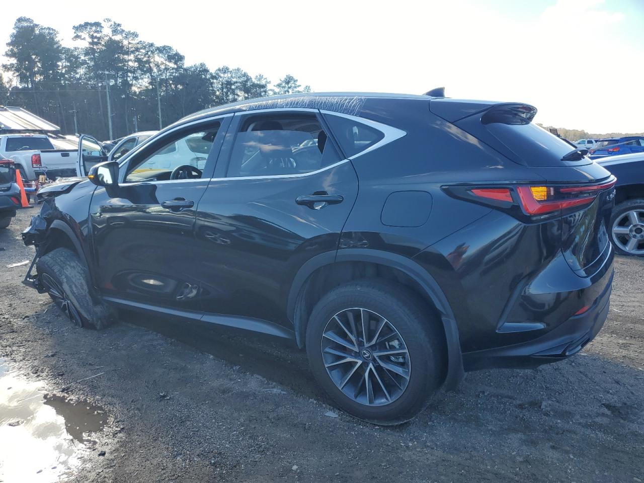 2024 LEXUS NX 250 PREMIUM VIN:2T2GDCAZ8RC014499