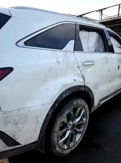 2021 Kia Sorento KNARF81BGMA104013 VIN:KNARF81BGMA104013