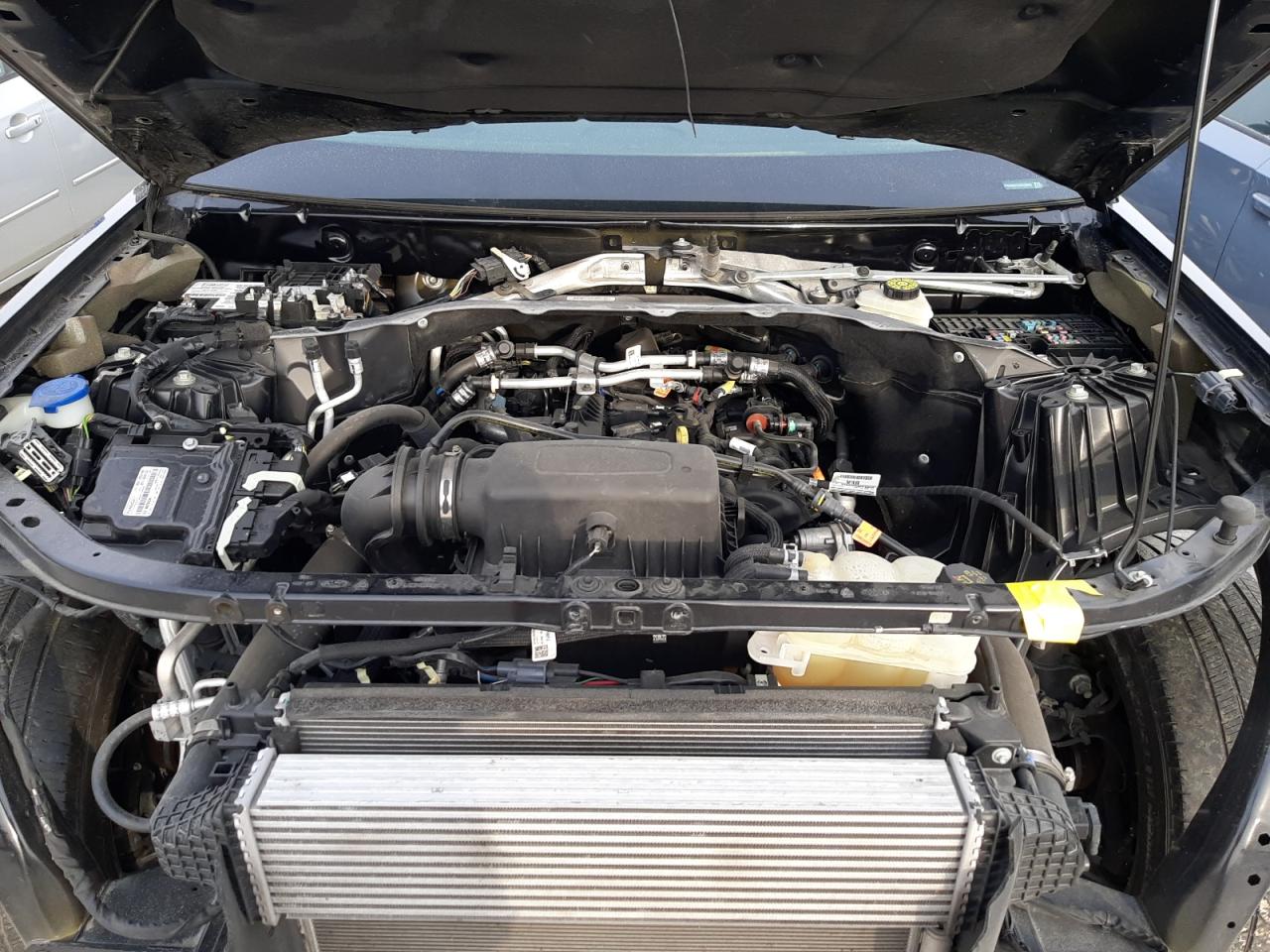 2022 FORD EXPLORER XLT VIN:1FMSK8DH1NGC39844