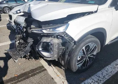 2019 Hyundai Santa FE KMHS381ABKU112387 VIN:KMHS381ABKU112387