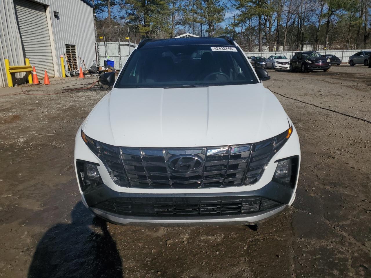 2024 HYUNDAI TUCSON N LINE VIN:KM8JFCD16RU194171