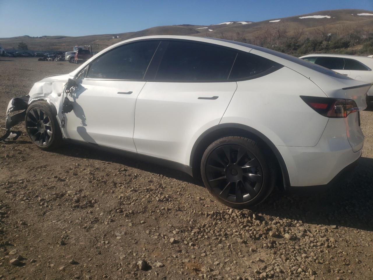 2023 TESLA MODEL Y  VIN:7SAYGDEE6PF781731