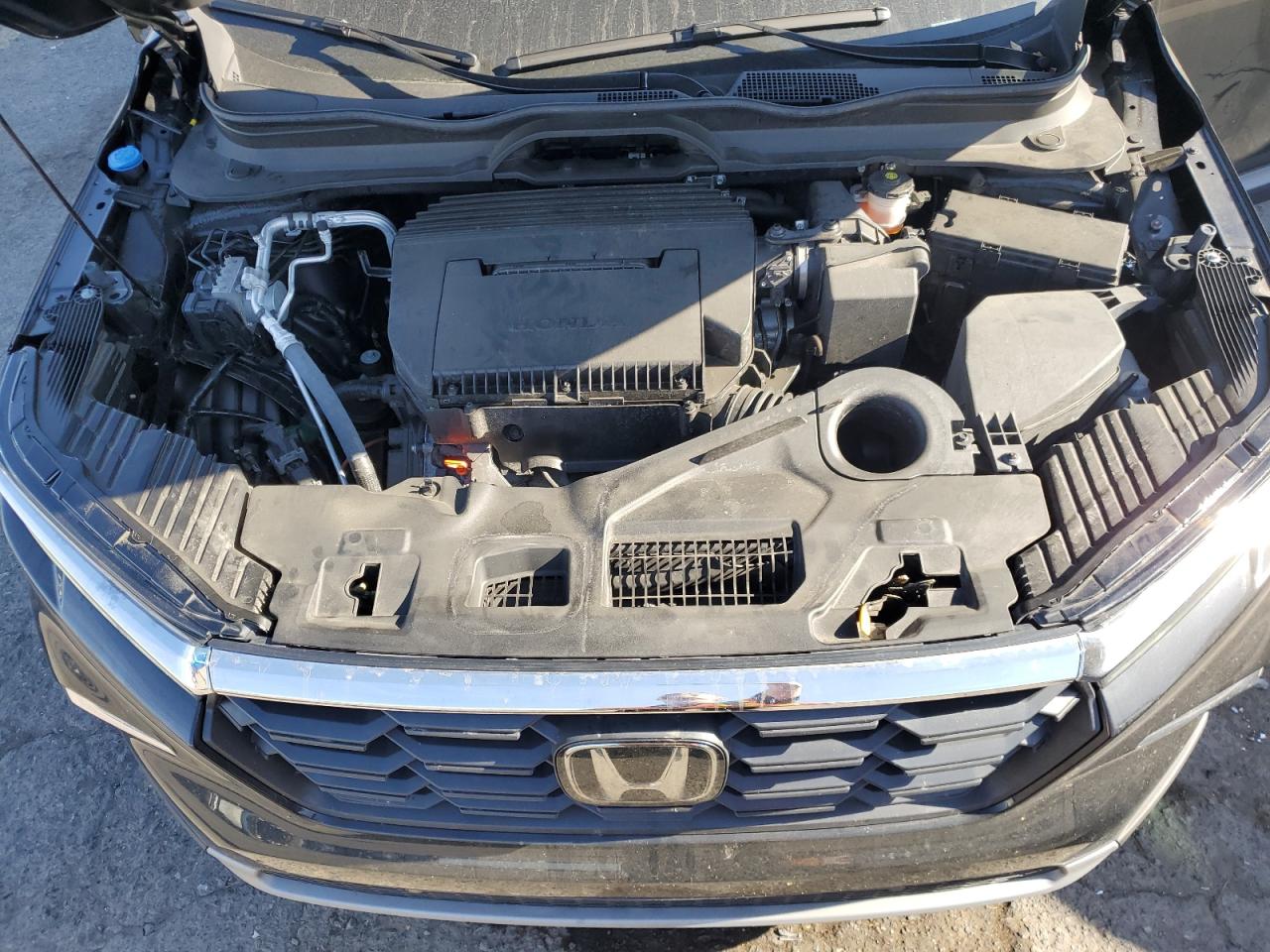 2023 HONDA PILOT EXL VIN:5FNYG1H53PB044073