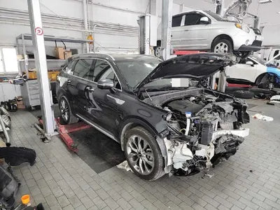 2021 Kia Sorento KNARK81BGMA092596 VIN:KNARK81BGMA092596