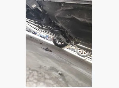 2023 Kia Sorento KNARF81FGPA182439 VIN:KNARF81FGPA182439