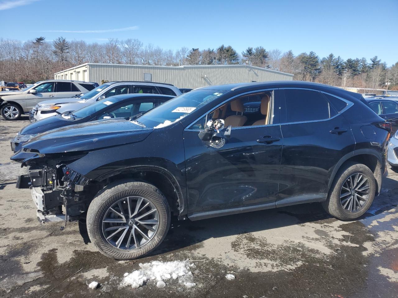 2024 LEXUS NX 350 BASE VIN:2T2AGCEZ2RC046341
