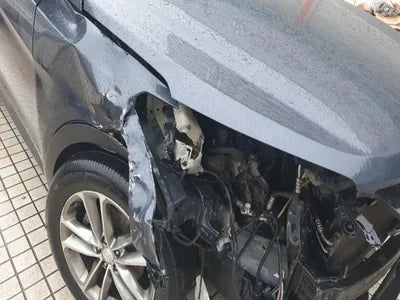 2017 Hyundai Santa FE KMHSW81UBHU732859 VIN:KMHSW81UBHU732859