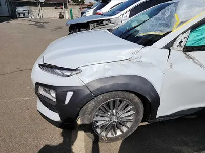 2020 Hyundai Kona KMHK4815GLU534326 VIN:KMHK4815GLU534326