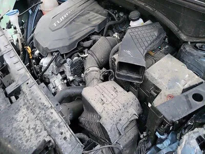 2021 Kia Sorento KNARL81BGMA059439 VIN:KNARL81BGMA059439