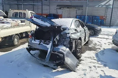 2019 BMW 520 WBAJF510XKGM57601 VIN:WBAJF510XKGM57601