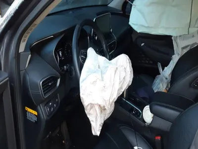 2018 Hyundai Santa FE KMHS381CBKU107767 VIN:KMHS381CBKU107767