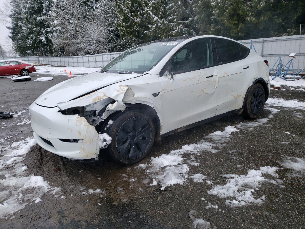 2024 TESLA MODEL Y  VIN:7SAYGDED6RF153761