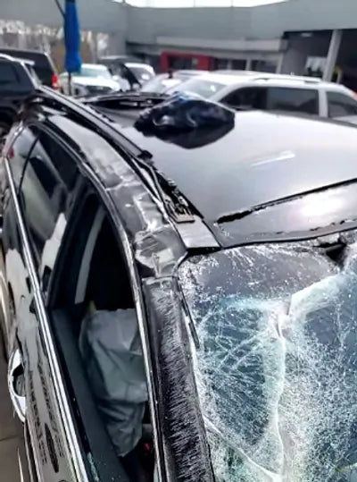 2020 Kia Sorento KNAPH81BBLA568054 VIN:KNAPH81BBLA568054
