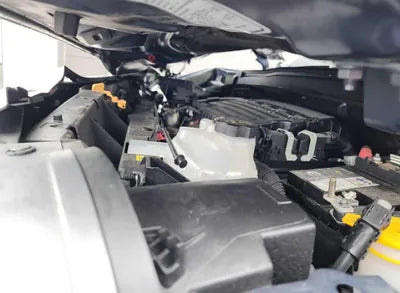 2022 Jeep Renegade 1C4NJCD11NPN86813 VIN:1C4NJCD11NPN86813