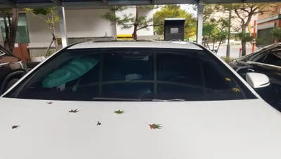 2019 Mercedes-Benz E 220 WDD1J1EB4KF095749 VIN:WDD1J1EB4KF095749