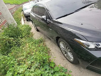 2019 Toyota Avalon 4T1B21FB8KU007853 VIN:4T1B21FB8KU007853