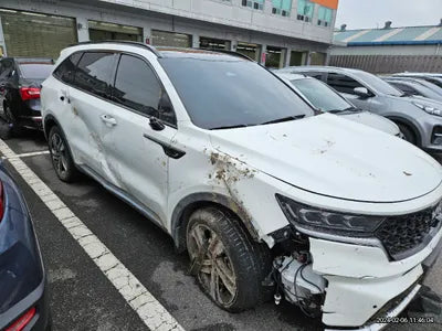 2023 Kia Sorento KNARL81GBPA135233 VIN:KNARL81GBPA135233